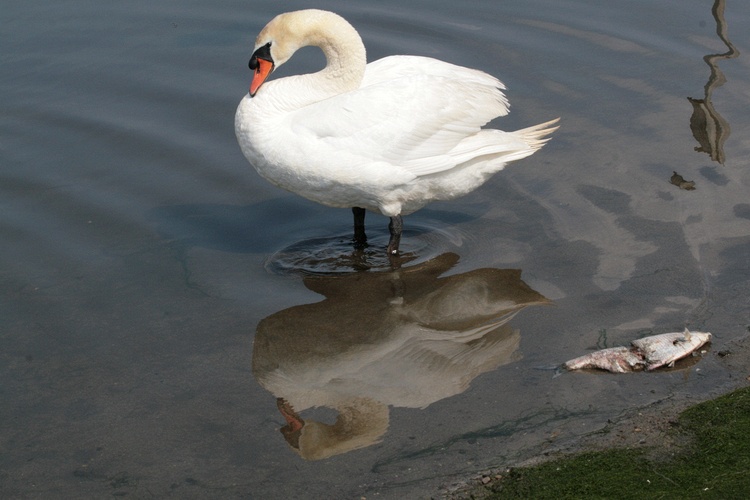Saturday, May 26, 2007