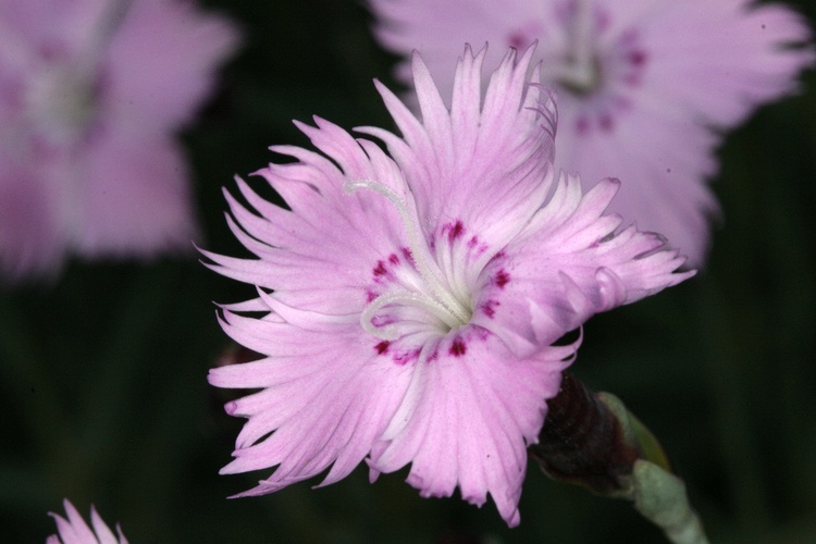 Tuesday, May 22, 2007