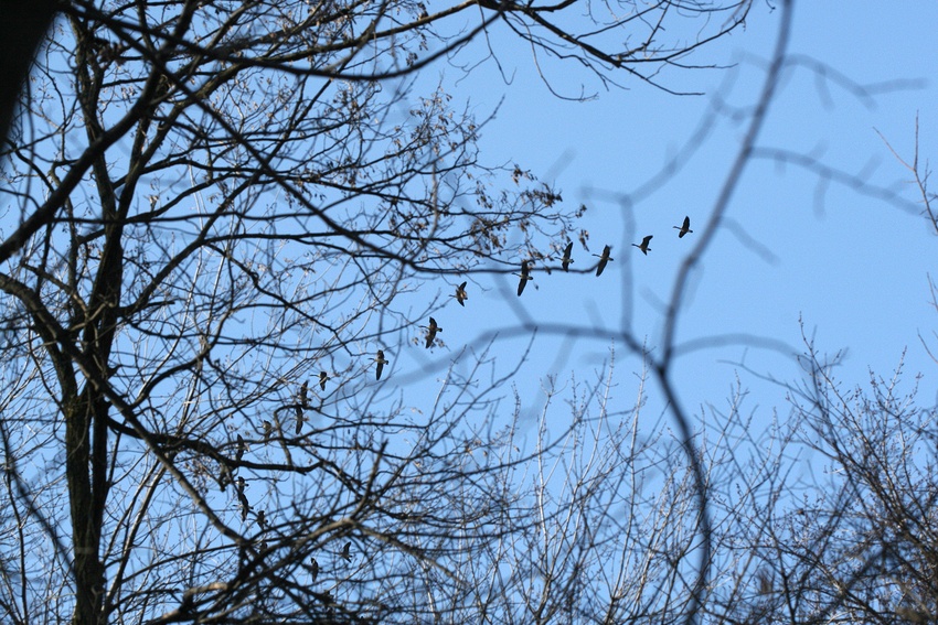 Monday, March 03, 2008