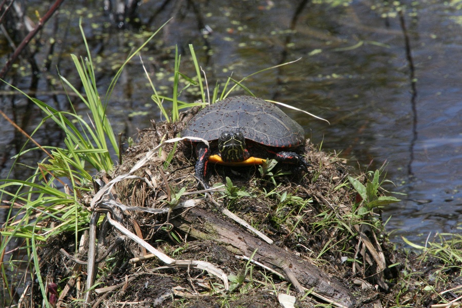 Wednesday, April 30, 2008