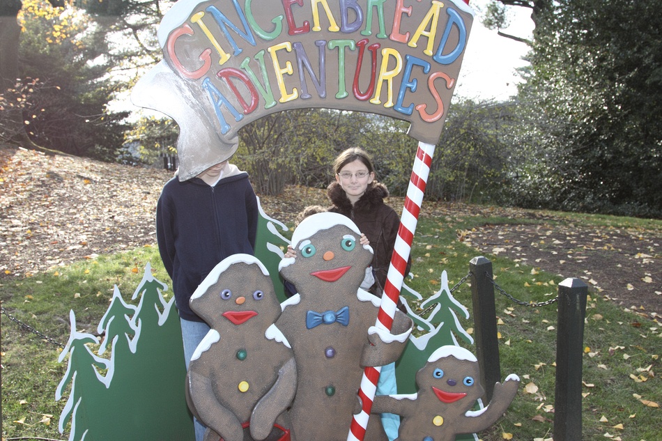 Saturday, November 21, 2009