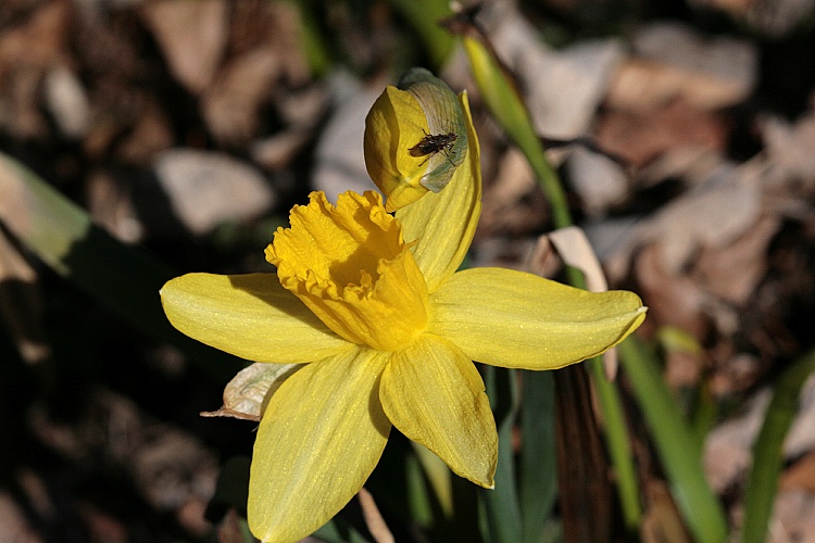 Friday, March 30, 2007