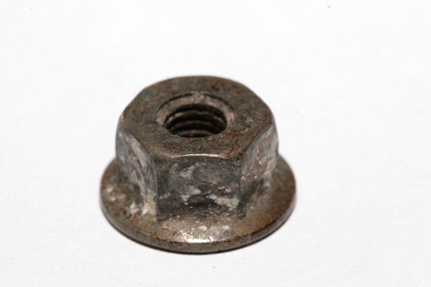 The lost nut