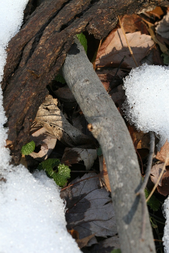 Monday, March 03, 2008