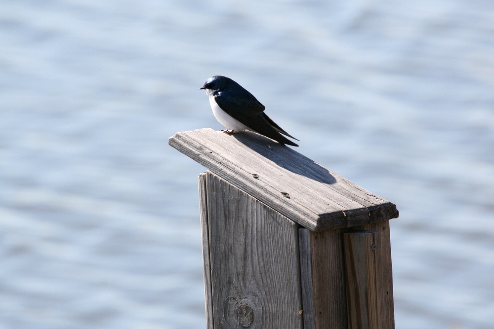 Sunday, March 30, 2008