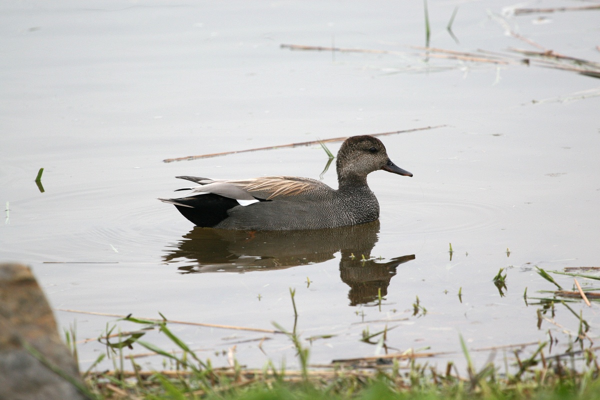 Friday, May 02, 2008