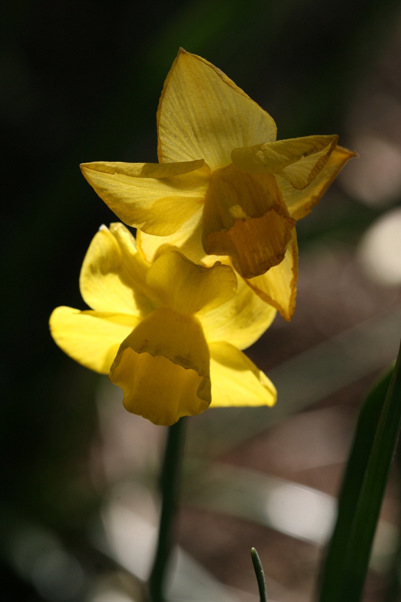 Tuesday, May 06, 2008