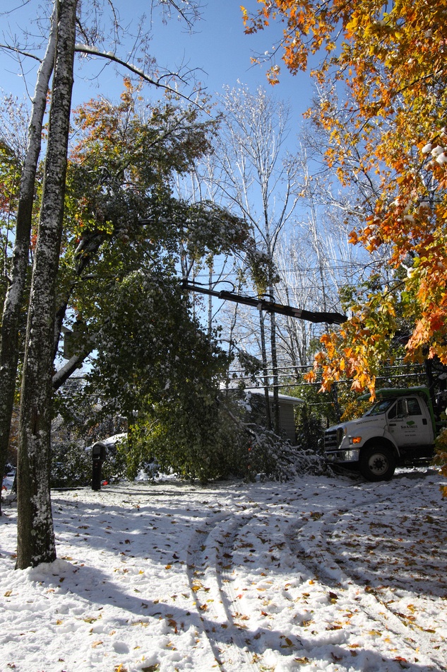 Sunday, October 30, 2011