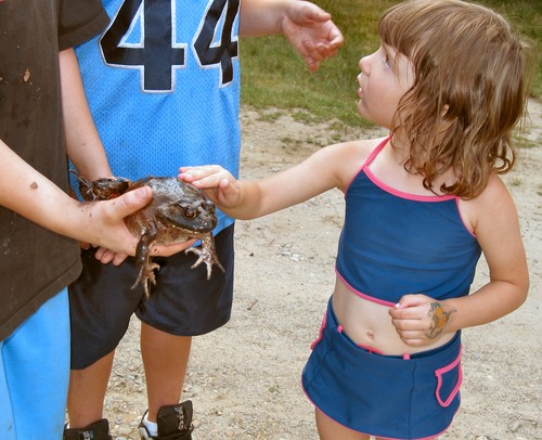 Jay cautiously pets the frog