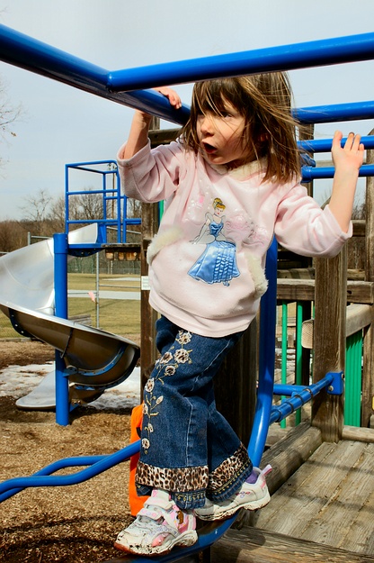 Jay walks carefully across the monkey bars