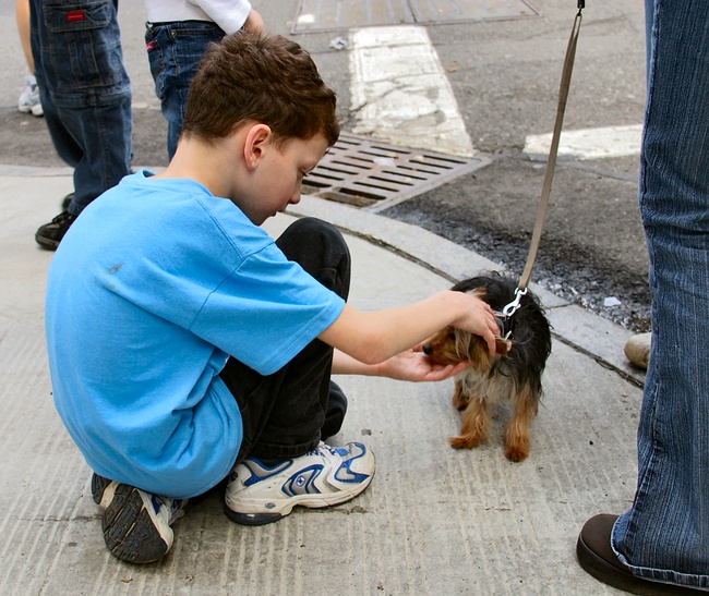 Jennifer checks out the little dog