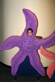 Joe the Starfish
