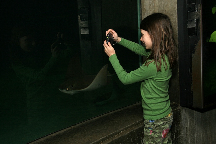 Wednesday, February 20, 2008
