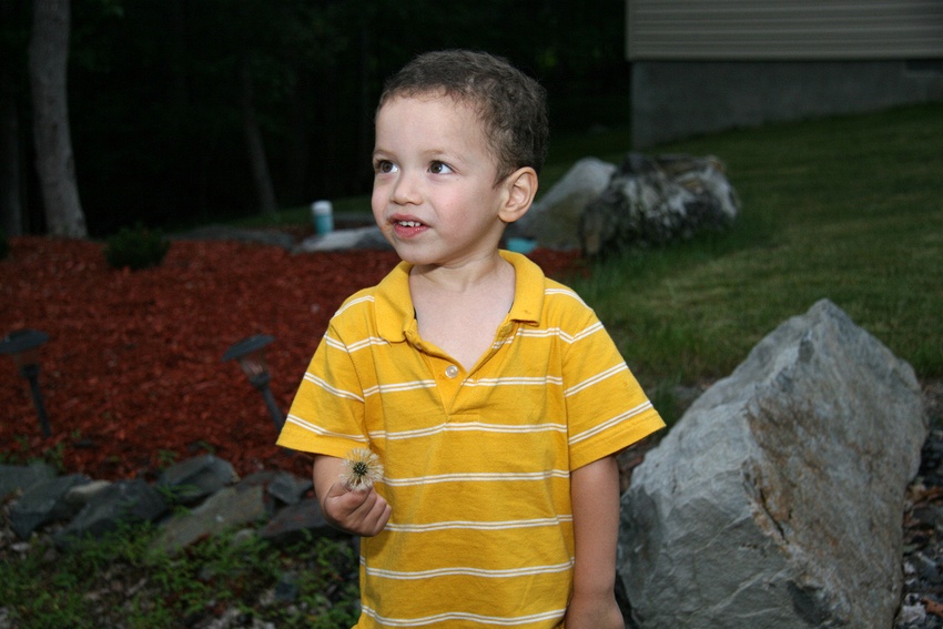 Friday, July 04, 2008