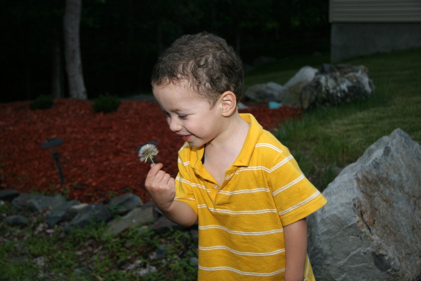 Friday, July 04, 2008